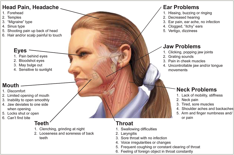 TMJ diagram with detailed labels